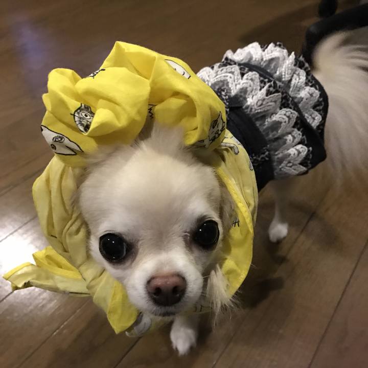 27f0753b d0d4 4236 ab51 25d1fcb2d789