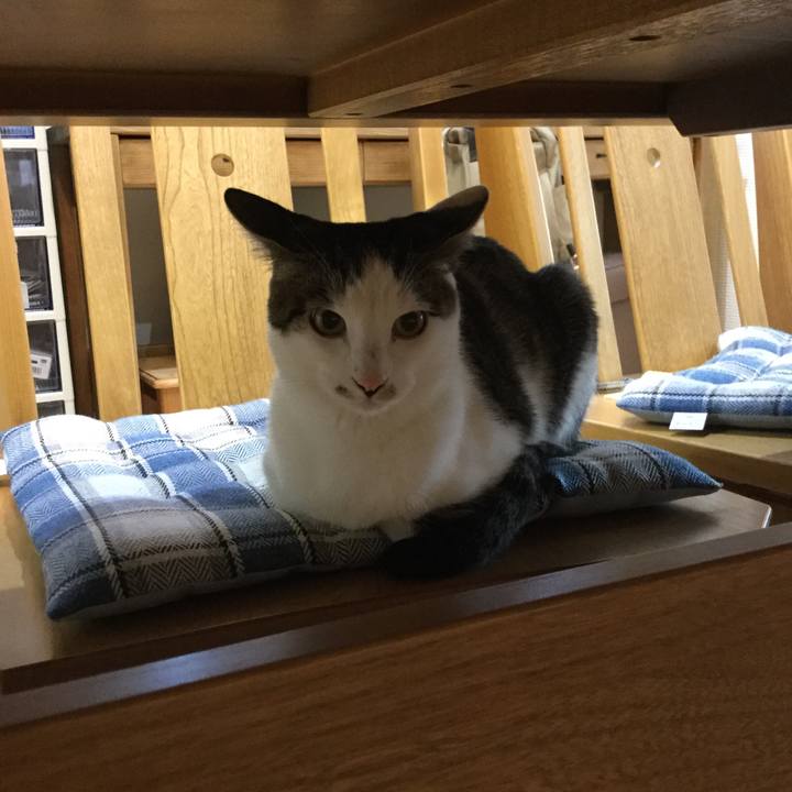 27f137ae 7f26 4f8b a175 4c50643da814