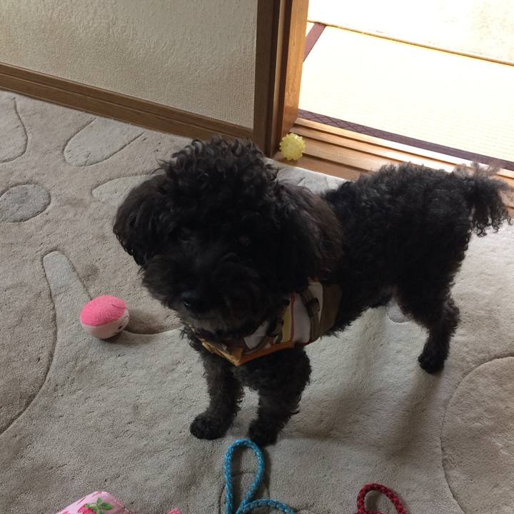 27f1dfbe 35de 49f2 8a18 0ca8c377b327