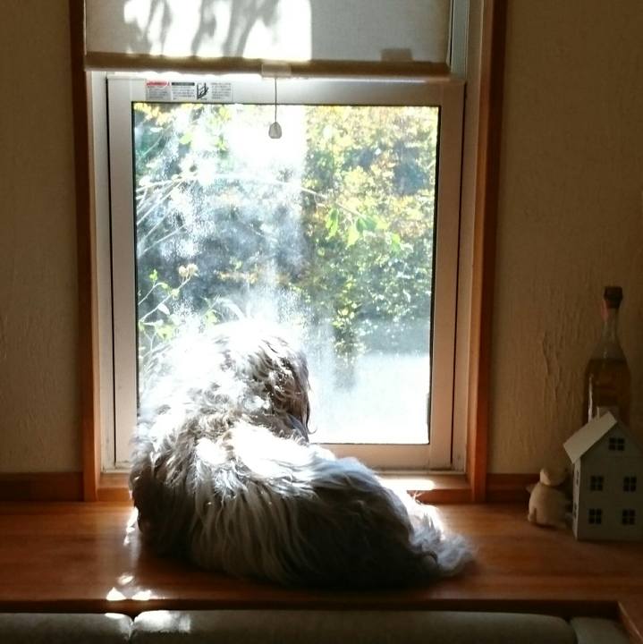 27f22ccd a84c 430d b57a b5ebdc4803f1