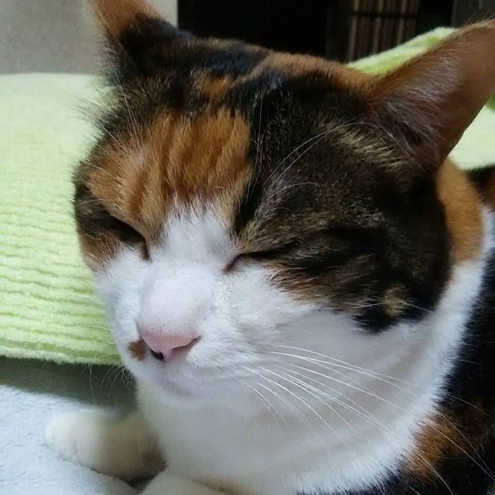 27f260b7 6860 4189 a804 75fb1bd85367