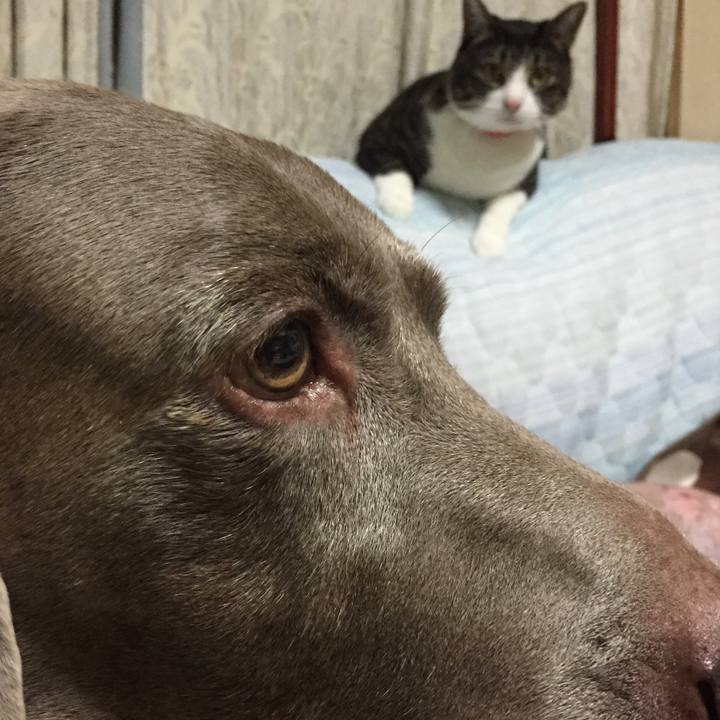 27f32e65 a01e 4c83 afbf 3cfc83779456