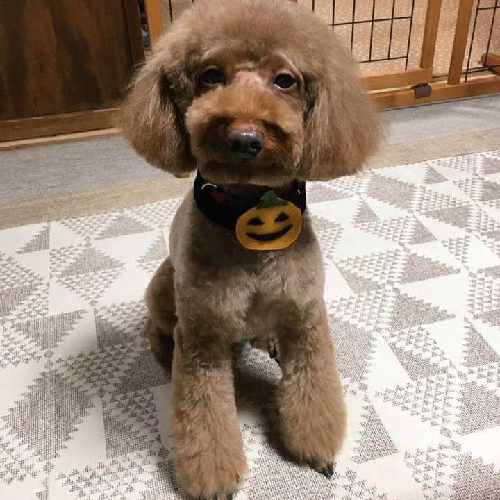 27f38c0d 67ae 4228 95e3 f703250c12b8