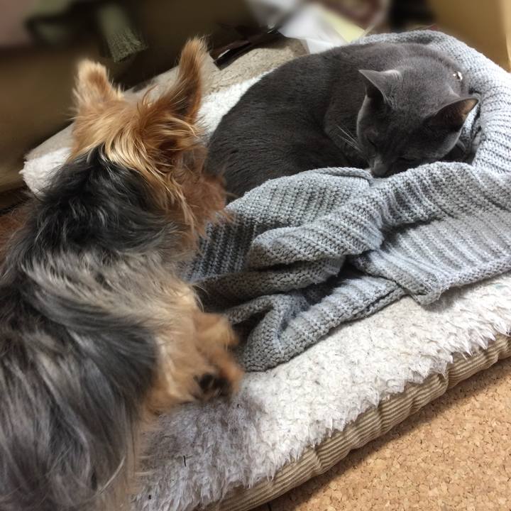 27f42671 1338 4ca5 bec9 859c4e5ca8bd