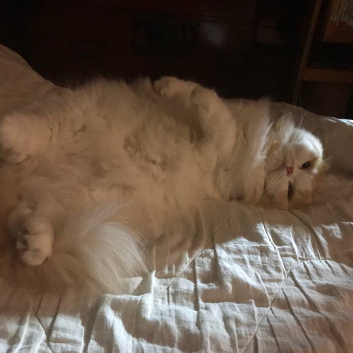 27f43c82 deaa 4b61 b74e 665e942c3c04