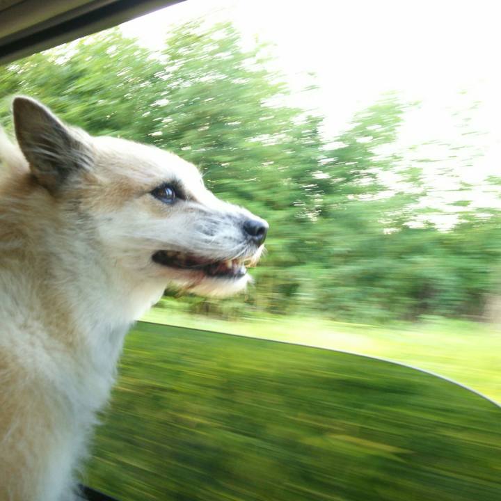 27f470db 9be3 442c be49 84ee6b4c27a3