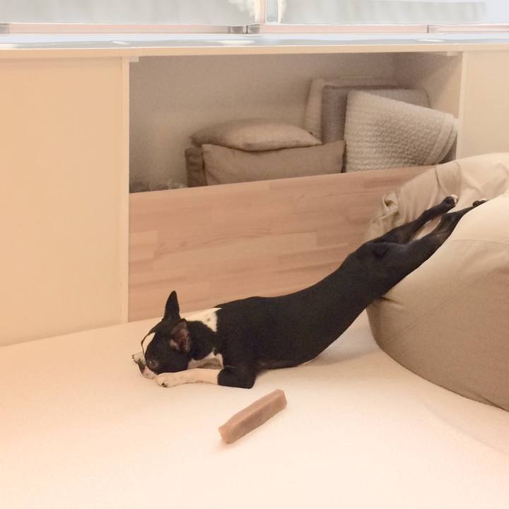 27f478ed b18c 42a7 a993 843668873826