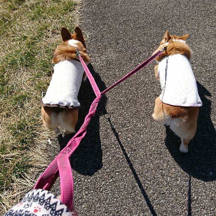 27f532da edf1 4fc0 b376 25cd0eebe02b