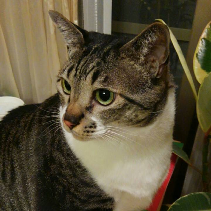 27f5431b f94f 4326 a3ad 5eb89a8d4724