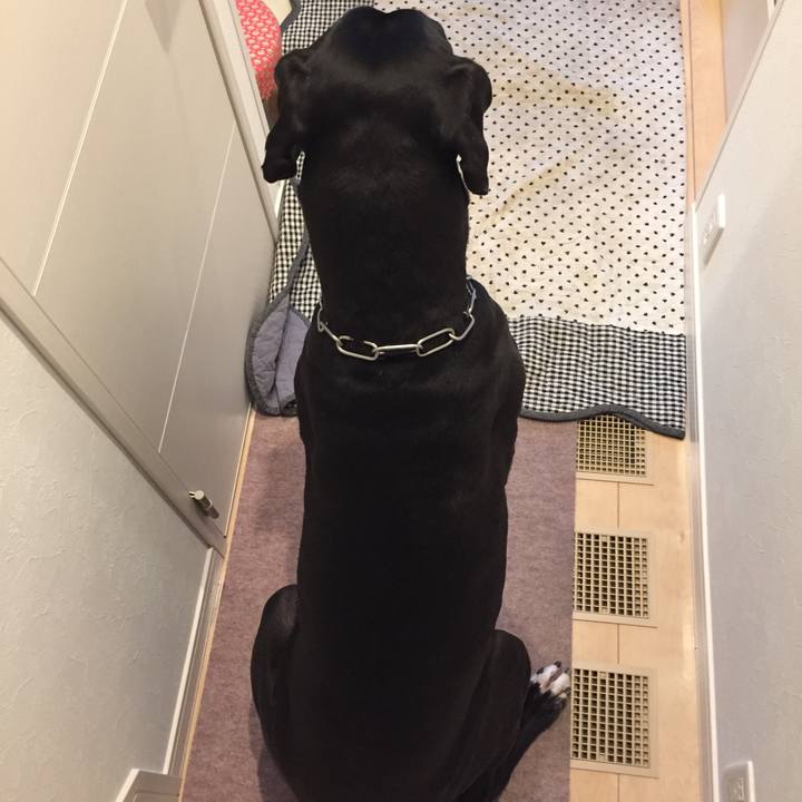 27f5b96c 342b 4a2f aaef e4df7ee10705