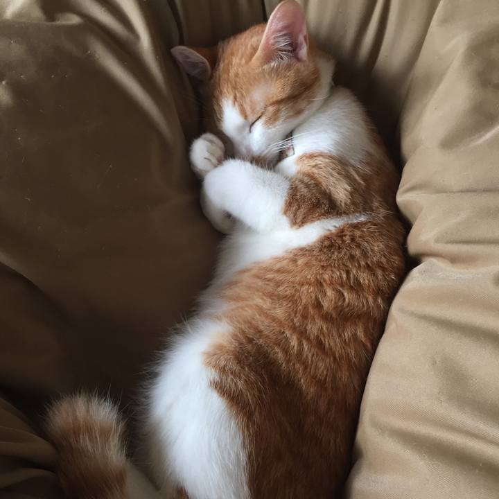 27f6185c 1fa6 45a1 9687 4912bfd889d1