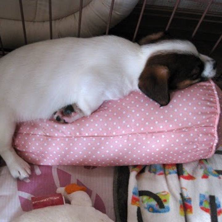 27f774ff ea4a 4dc8 8f71 c32de705d397