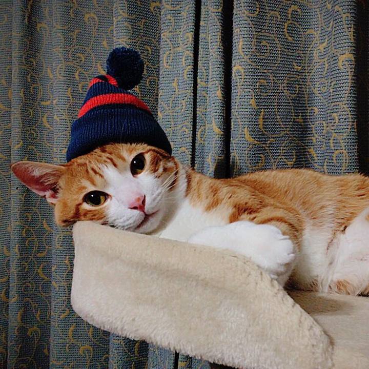 27f8bf03 761a 4b14 bf3d c89bcd1ffa33