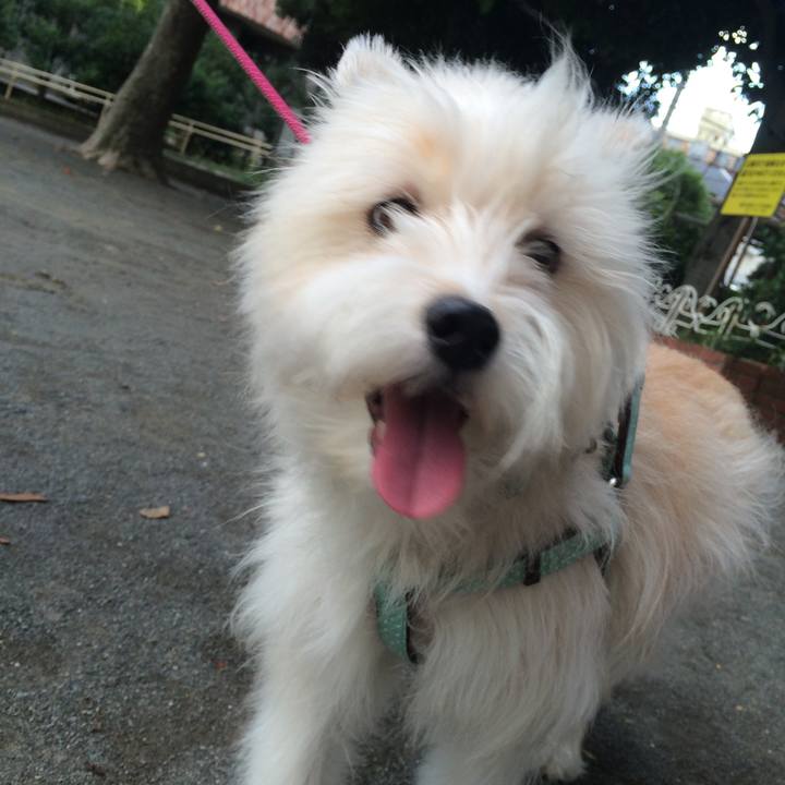 27f94477 ac3e 44e3 8f0f b5676450d18e