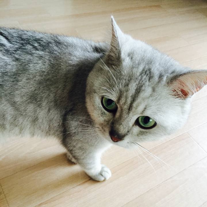 27f94680 fe66 4fcf a8c3 d8d94114412c