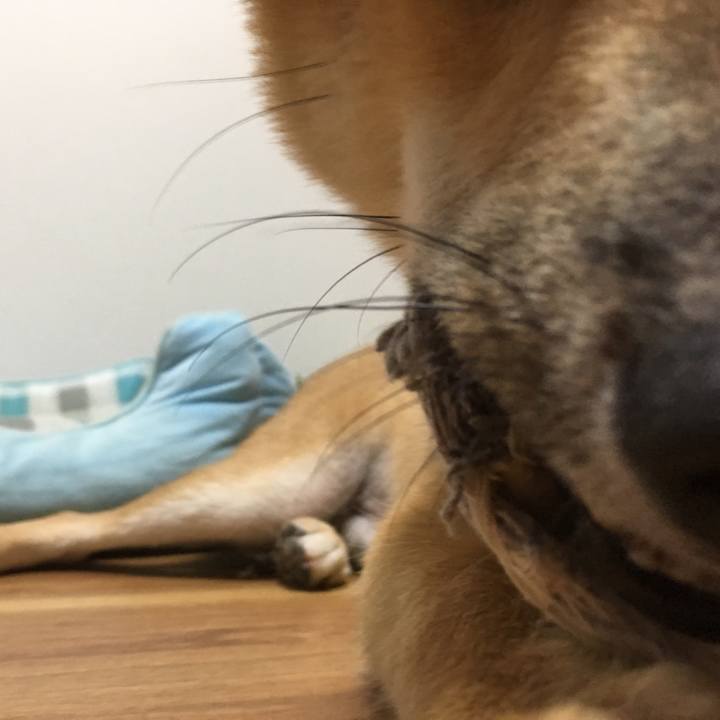 27faac50 11c7 49c2 bd3c 6479aeff02d1