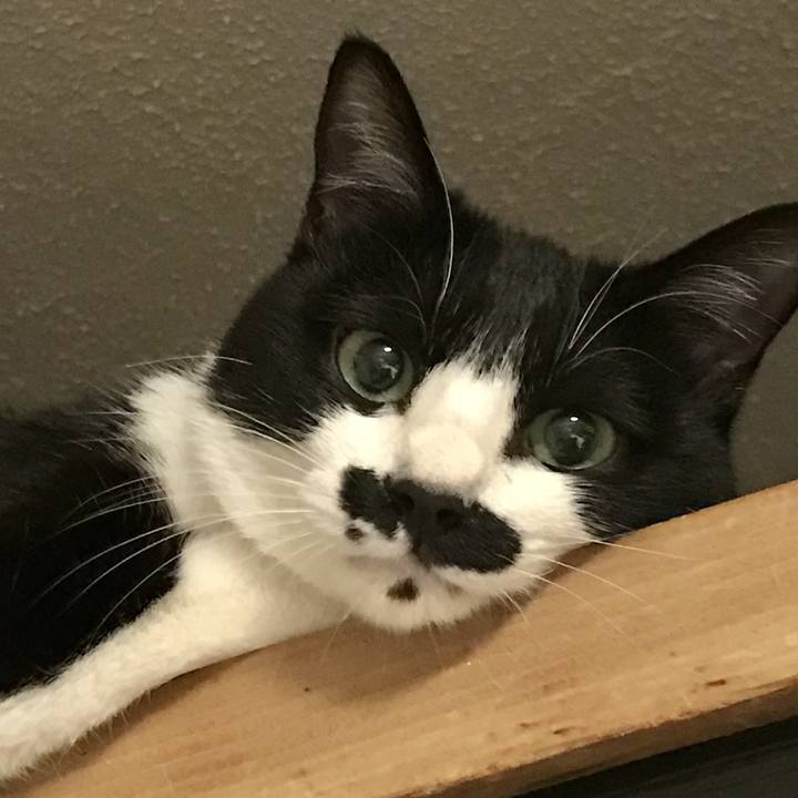 27fba142 351f 4441 b1c6 d43d9014400f