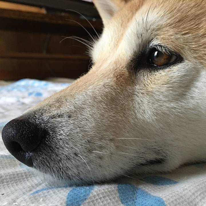 27fbbc93 5e77 435b 965e c57f58ecb9ba