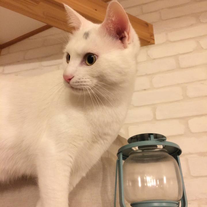 27fca4ea 9237 444b 9c58 81827af67e5b