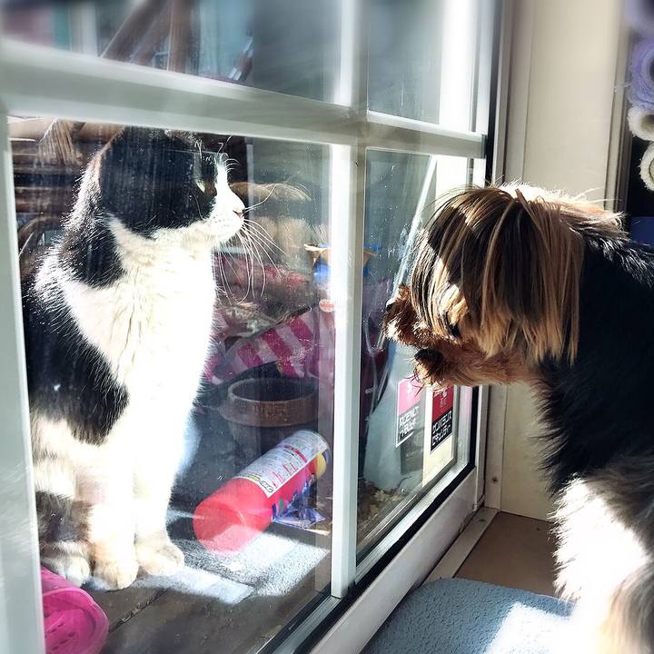 27fd48c0 d296 485c b1b5 468b17d80f18