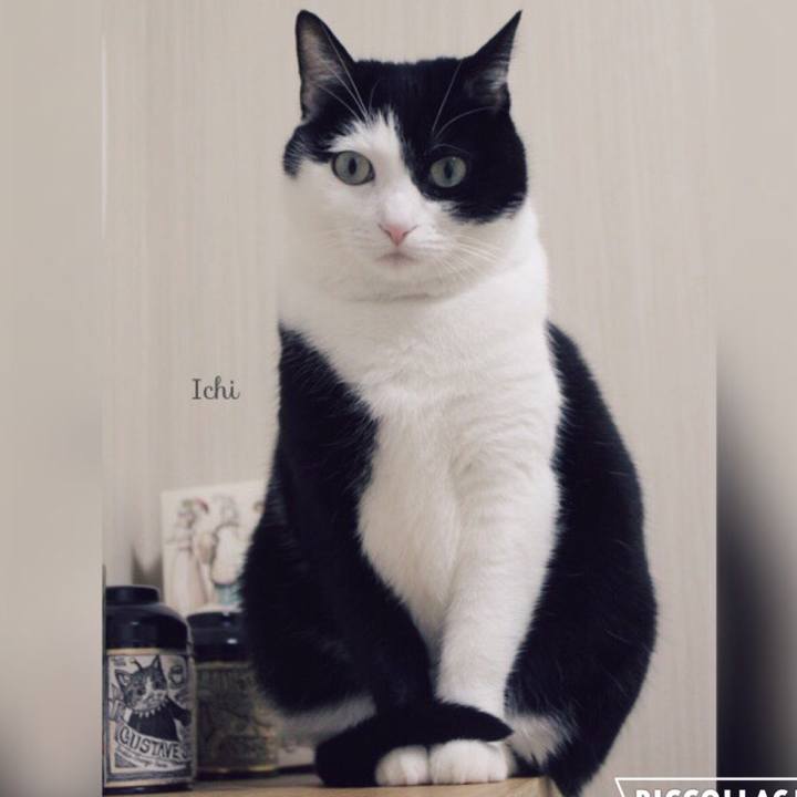 27fdf12d a4df 4f40 a005 16d62ad0a7f7