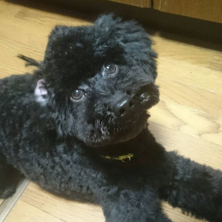 27fed579 79f0 48b1 a5ff 05c2871e8339