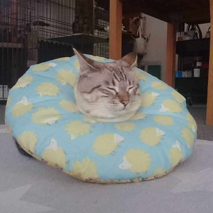 27feda67 b0b5 4cec b5a5 09d95d9b7cfc