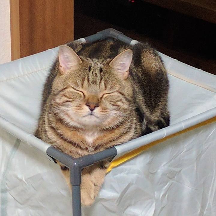 27ff7bbf 4daa 4f32 868d bdfefaa53da7