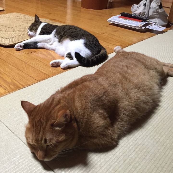 27ffae2a d49b 44de 9401 4b07add3eb6c