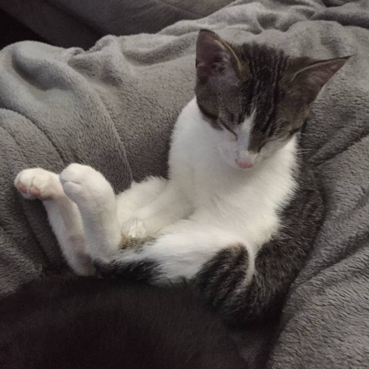 27fff079 841b 43b3 b6f3 1485607416d6