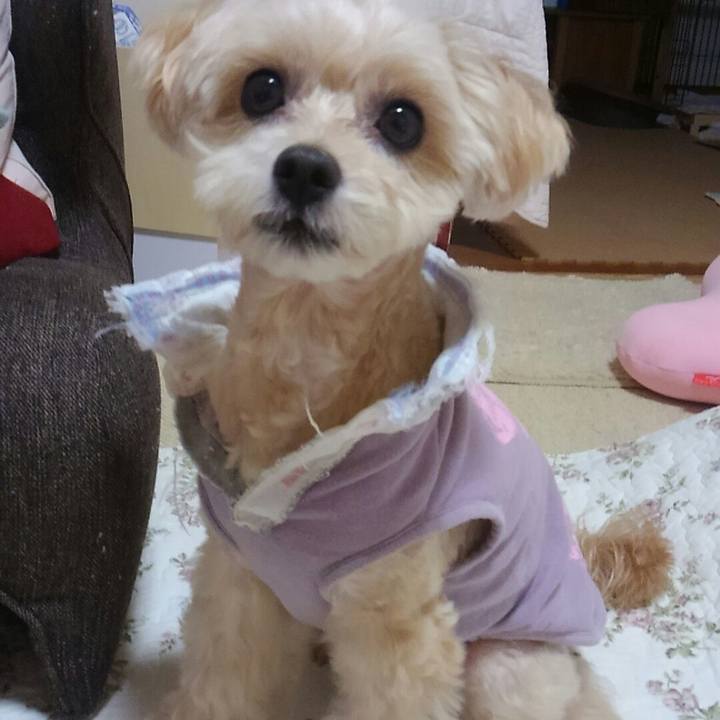 28009b03 8d56 4190 a3c2 886a28c1a821