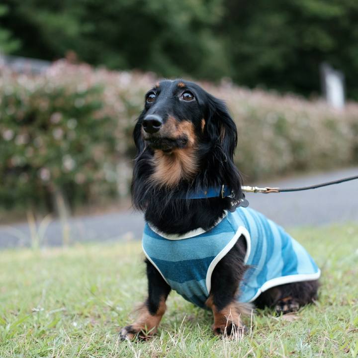 2800af17 6943 432e 84de 670c88965384