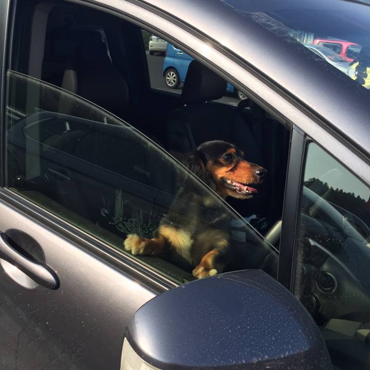 2800b3ac 4e3d 4b03 90c1 c86334505225