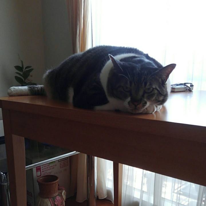 2800c88b e9f0 477b 83bc c813d18a8416