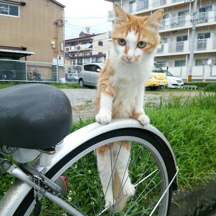 28020f2d f7cf 4133 a672 d79d907e74ff