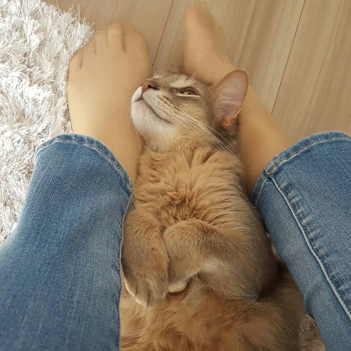 28025820 0885 4925 8921 a89c1bd3d9dd