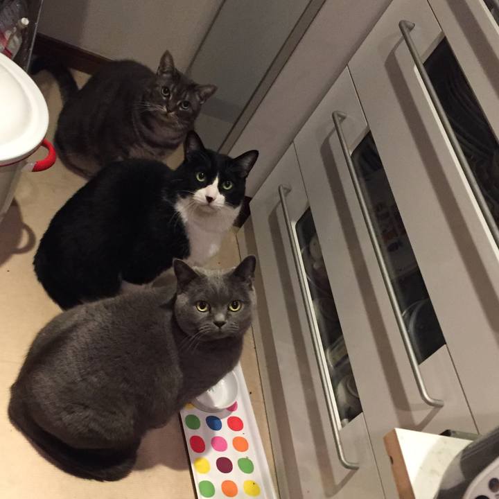 2802e3f6 4c8c 471c 9c04 c7162fce6f8d