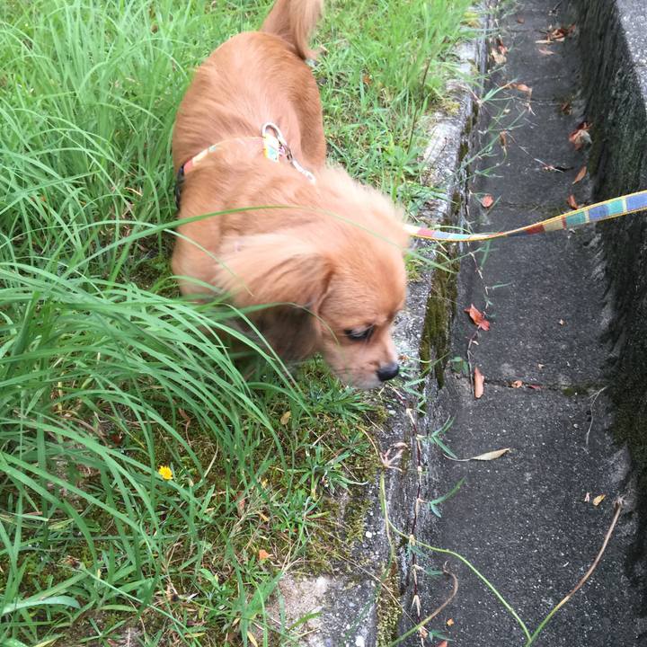 28037b35 5998 40a4 94f7 68efce9a9b6d