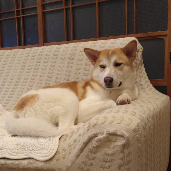 2803b39f a4fb 493e 8333 fa1e338b2c15