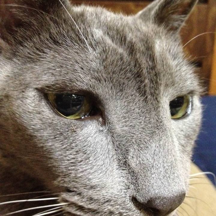 2803d3e5 109f 4486 a29e b05e73a0efd0