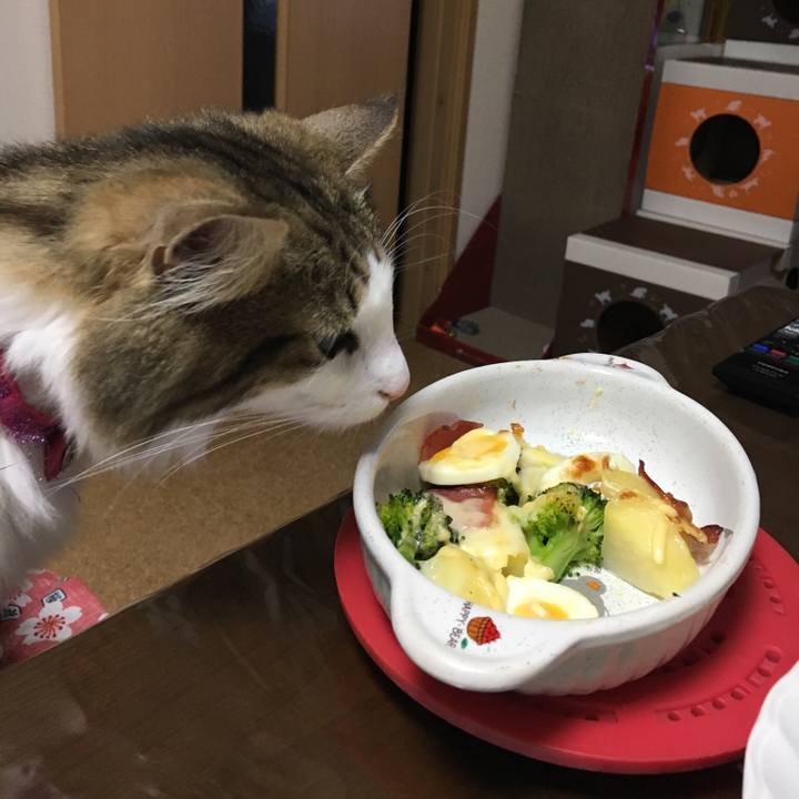 280402a8 fff2 4574 bcd0 926ce84c306c