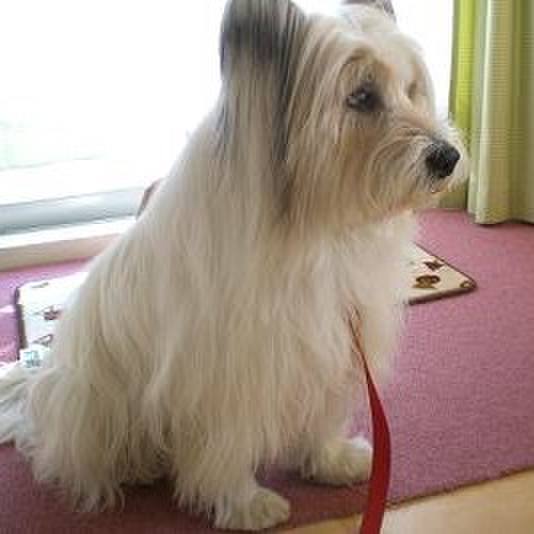 2804e40e 556c 4927 a73a 19fca3e9b619