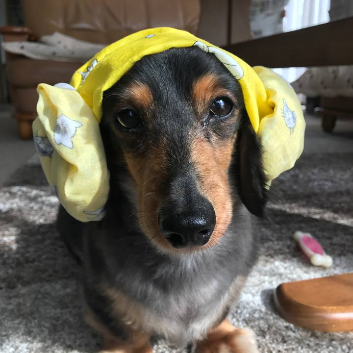 28055a44 596e 4af7 9cc6 bbcfd7a971af