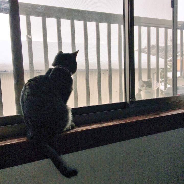 2805a4f7 b0b0 4632 92ac 6c8ea22eeca8