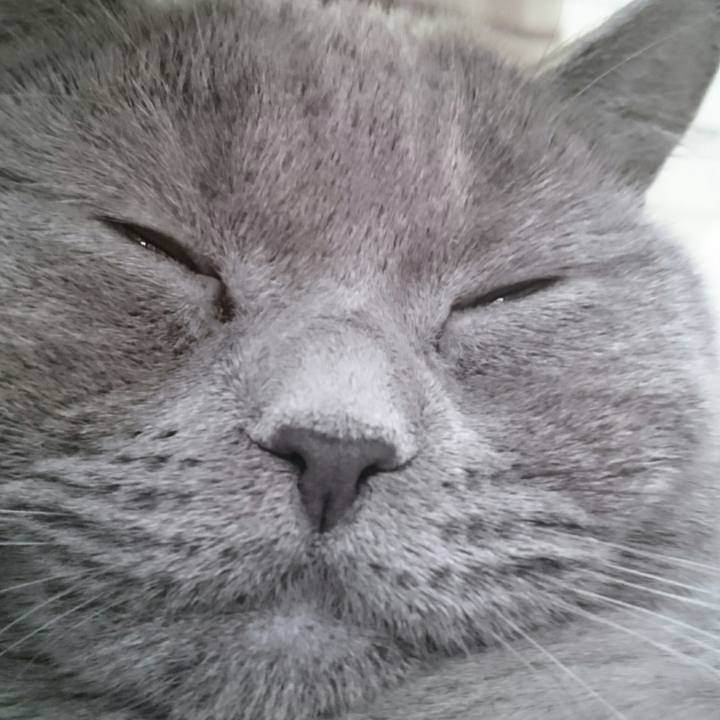 28063347 f36c 4c8a aabf b7d8c7e31a6a