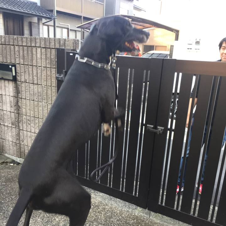 28067706 22fd 450f 89d7 ab8971897dc5