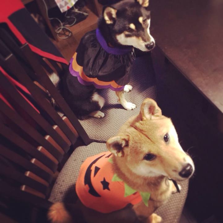 28067e7c d972 46c8 b557 3a287a10f891