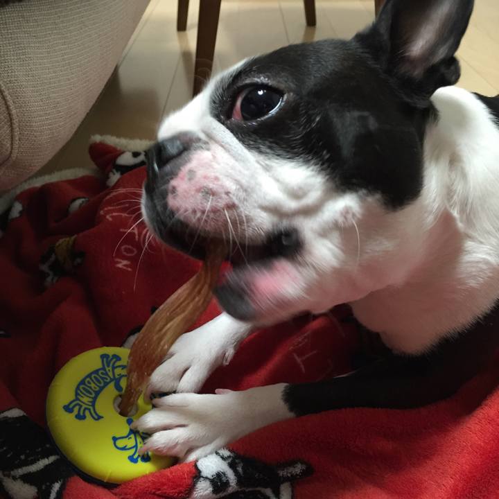 2806862a 1143 4a30 a112 1e0f2dc1eb17