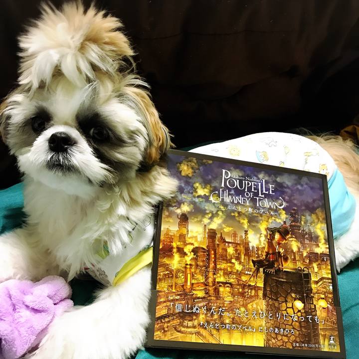 28068bd3 2c2c 4b1d 86b4 fb4257bd0347