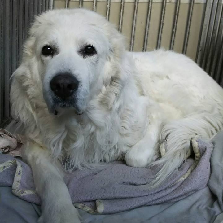 28068c84 6212 4a99 bb70 ce63f5d9f096